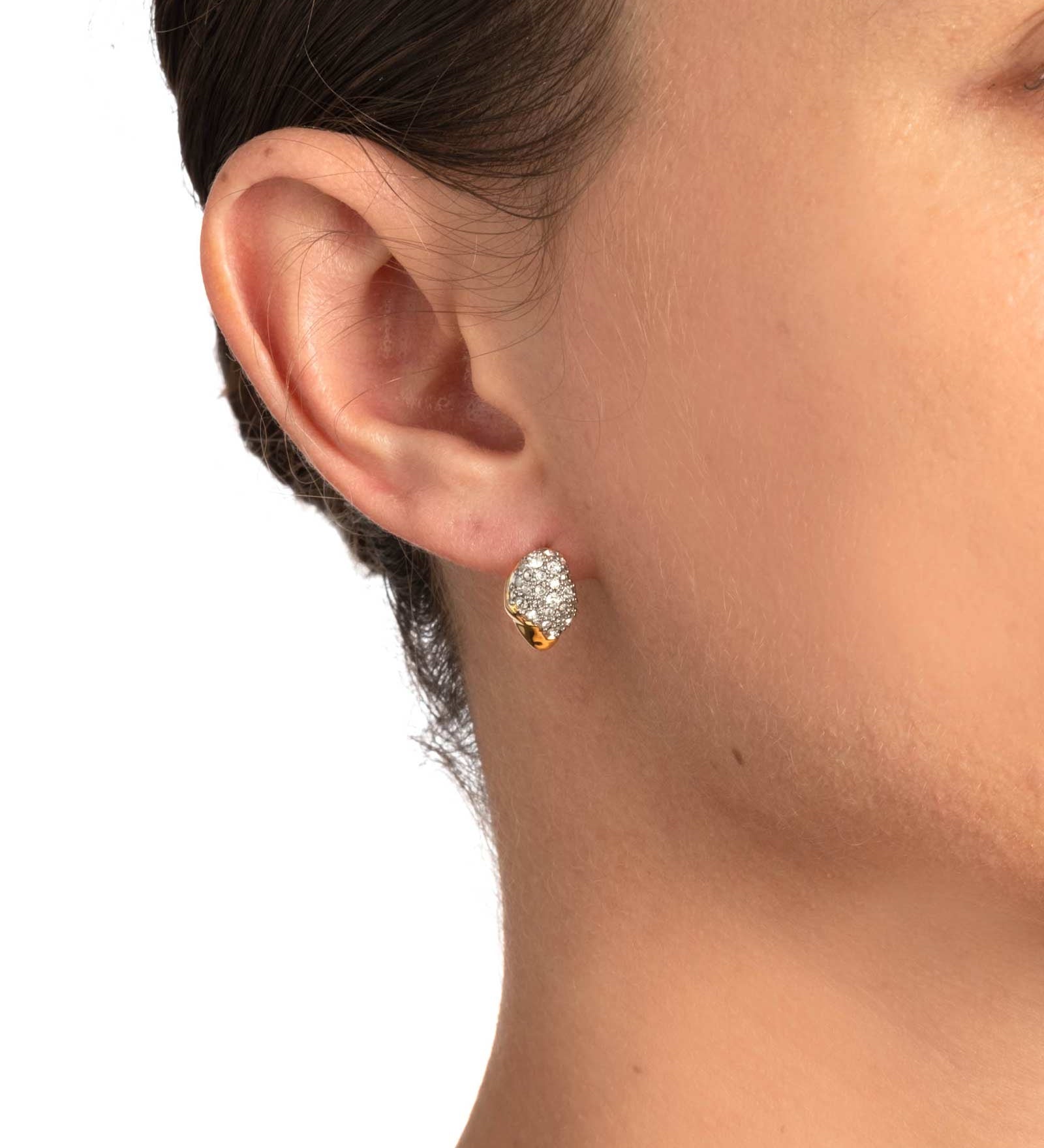 Solanales Crystal Tiny Pebble Stud Earring 14k Gold Plated, Crystal