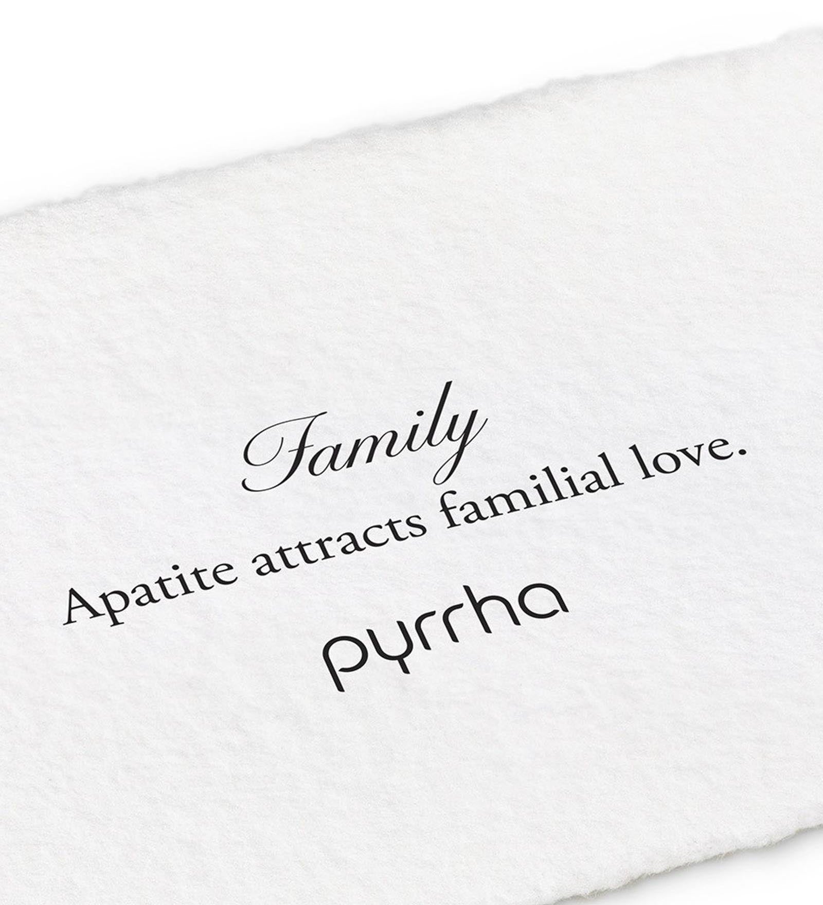 Pyrrha-Family Signature Attraction Charm-Necklaces-Oxidized Sterling Silver, Apatite-Blue Ruby Jewellery-Vancouver Canada