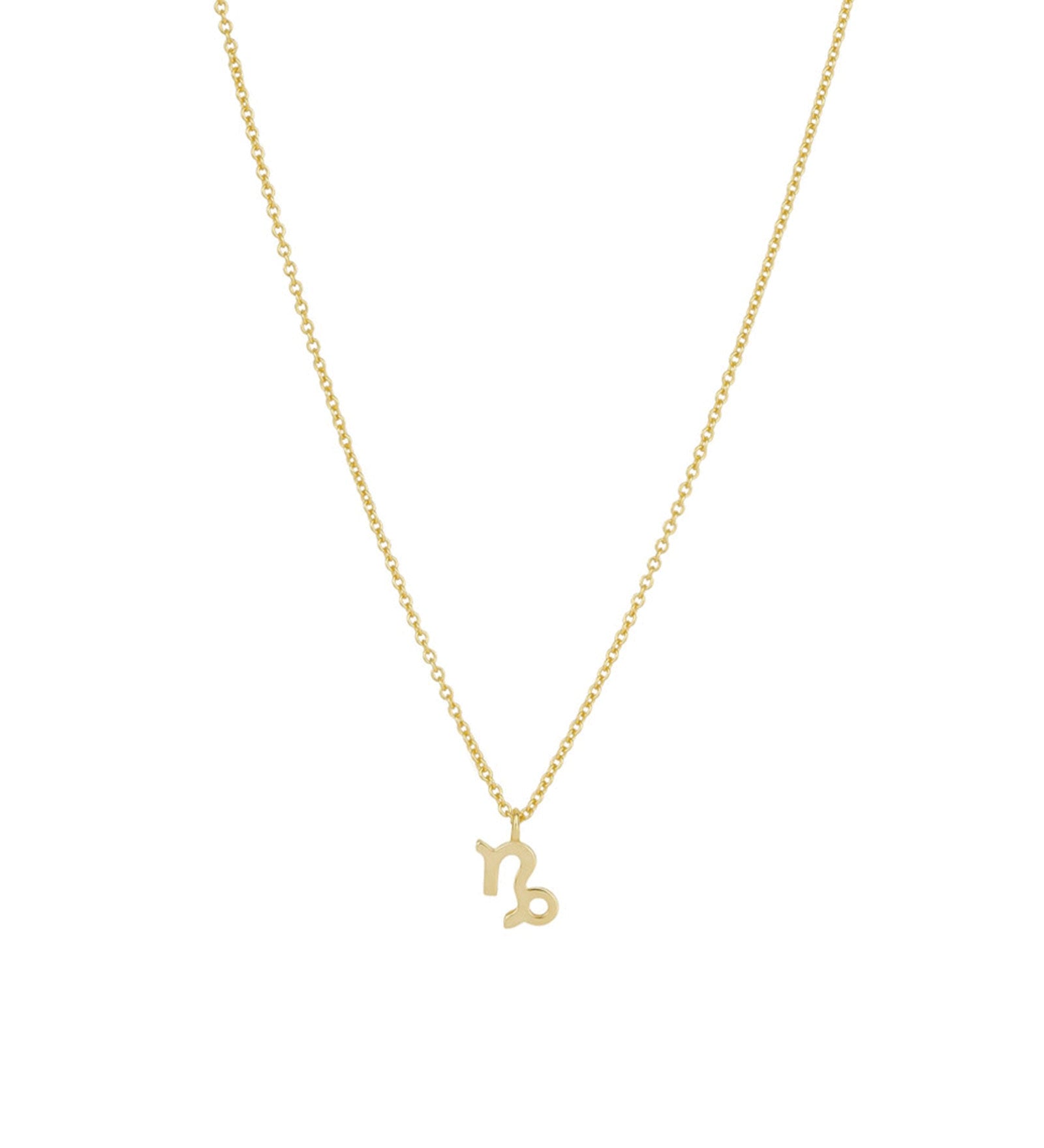 Quiet Icon-Zodiac Necklace-Necklaces-14k Gold Vermeil-Capricorn-Blue Ruby Jewellery-Vancouver Canada