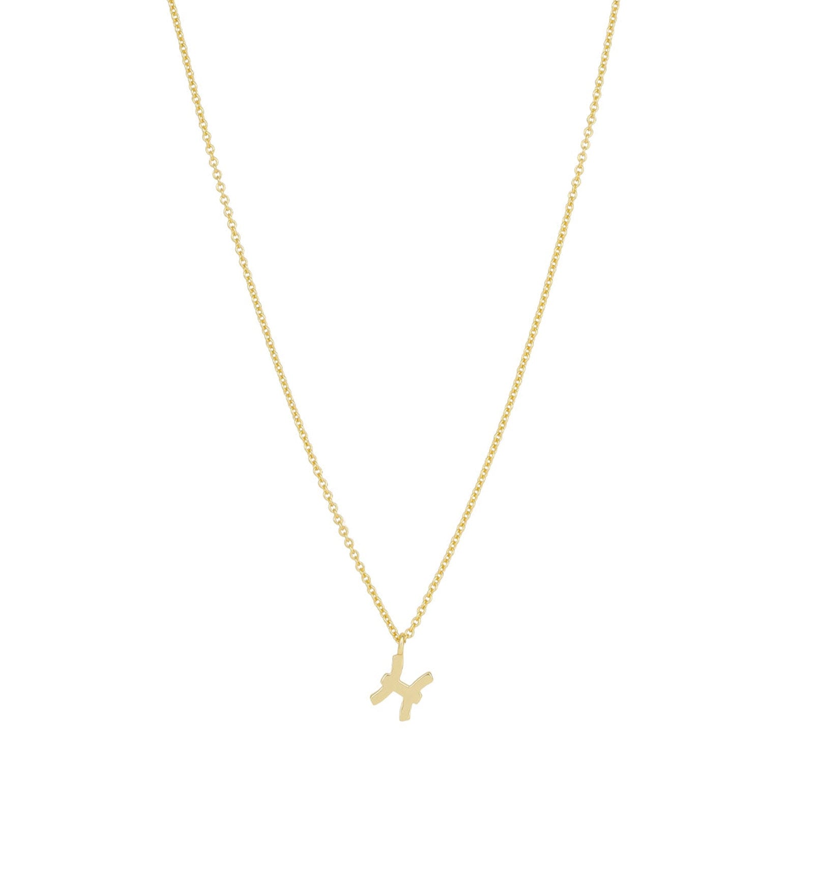 Quiet Icon-Zodiac Necklace-Necklaces-14k Gold Vermeil-Pisces-Blue Ruby Jewellery-Vancouver Canada