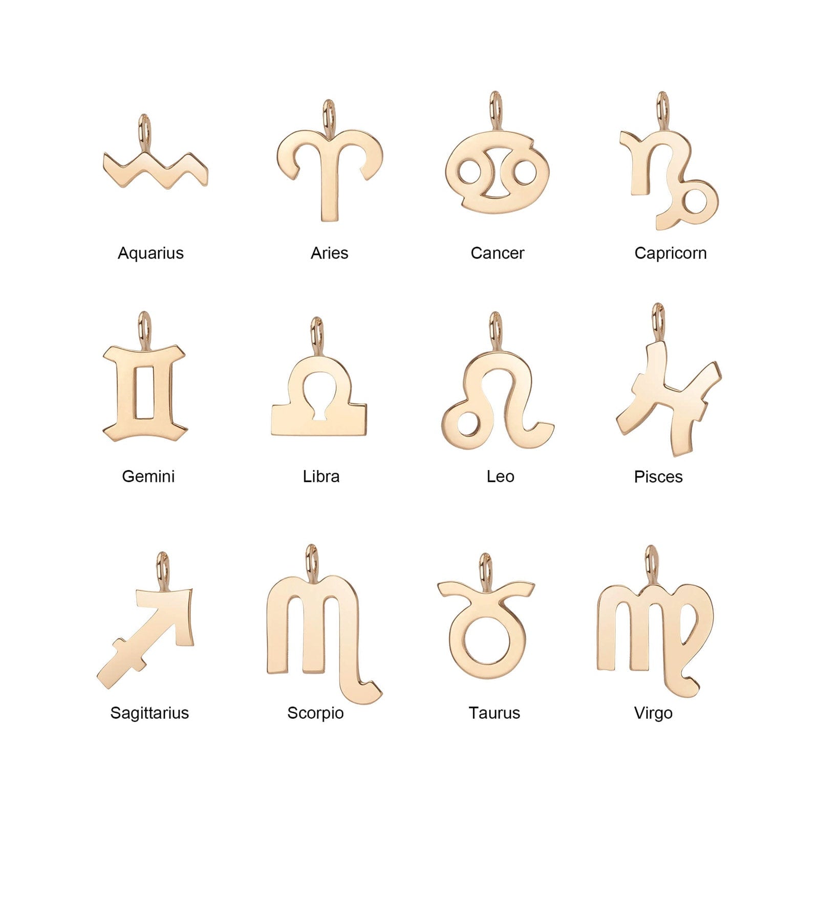 Quiet Icon-Zodiac Necklace-Necklaces-Blue Ruby Jewellery-Vancouver Canada