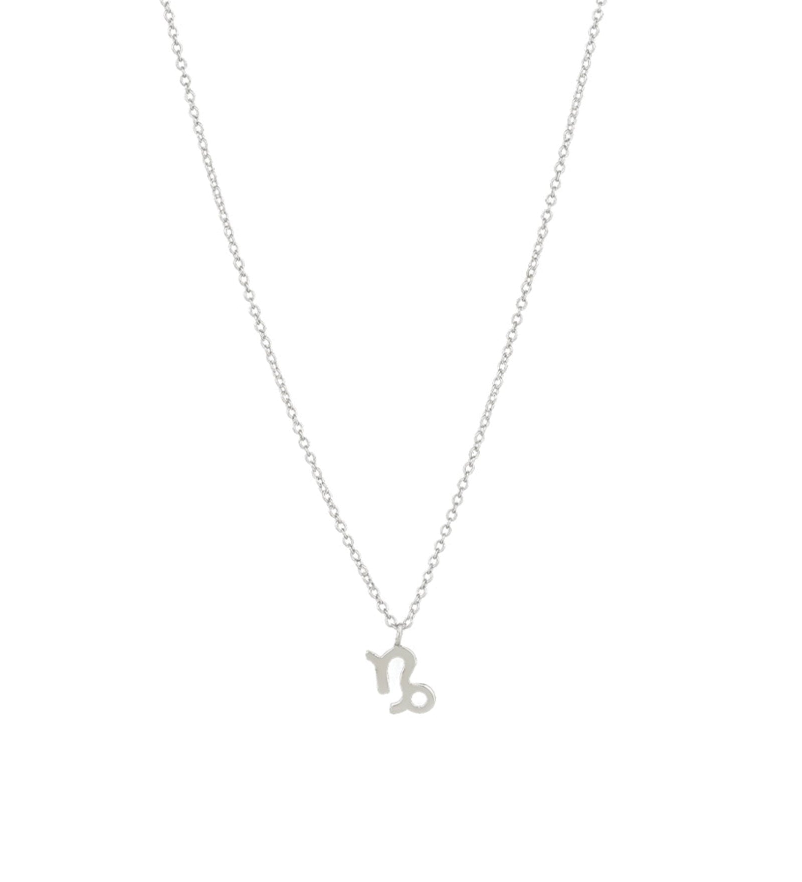 Quiet Icon-Zodiac Necklace-Necklaces-Rhodium Plated Sterling Silver-Capricorn-Blue Ruby Jewellery-Vancouver Canada