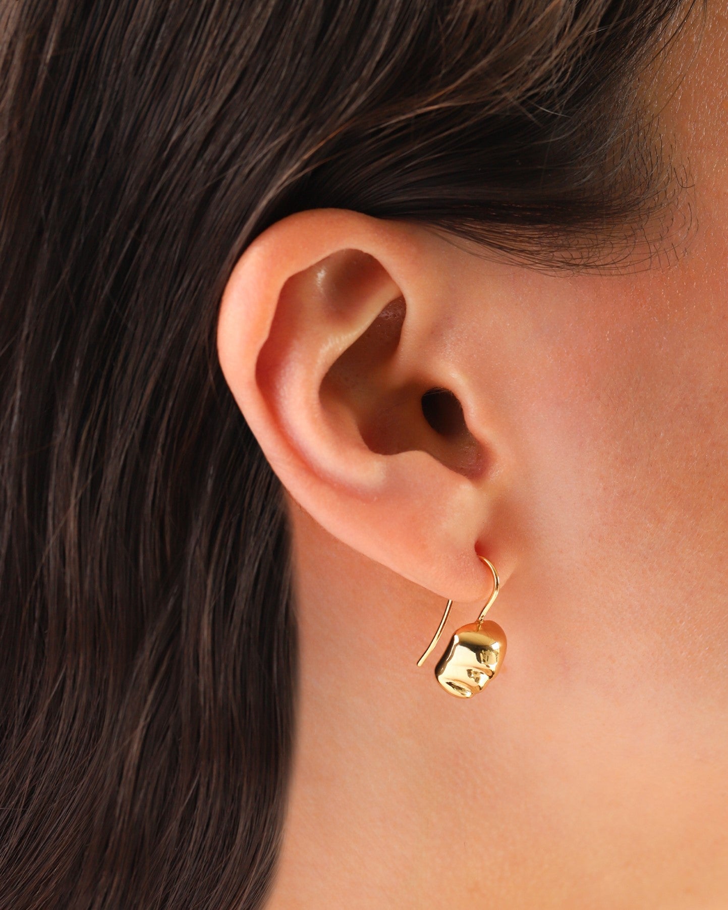 Hook Earrings