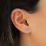 Quiet Icon-Starfish Stud-Earrings-Blue Ruby Jewellery-Vancouver Canada