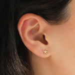 Quiet Icon-Starfish Stud-Earrings-Blue Ruby Jewellery-Vancouver Canada
