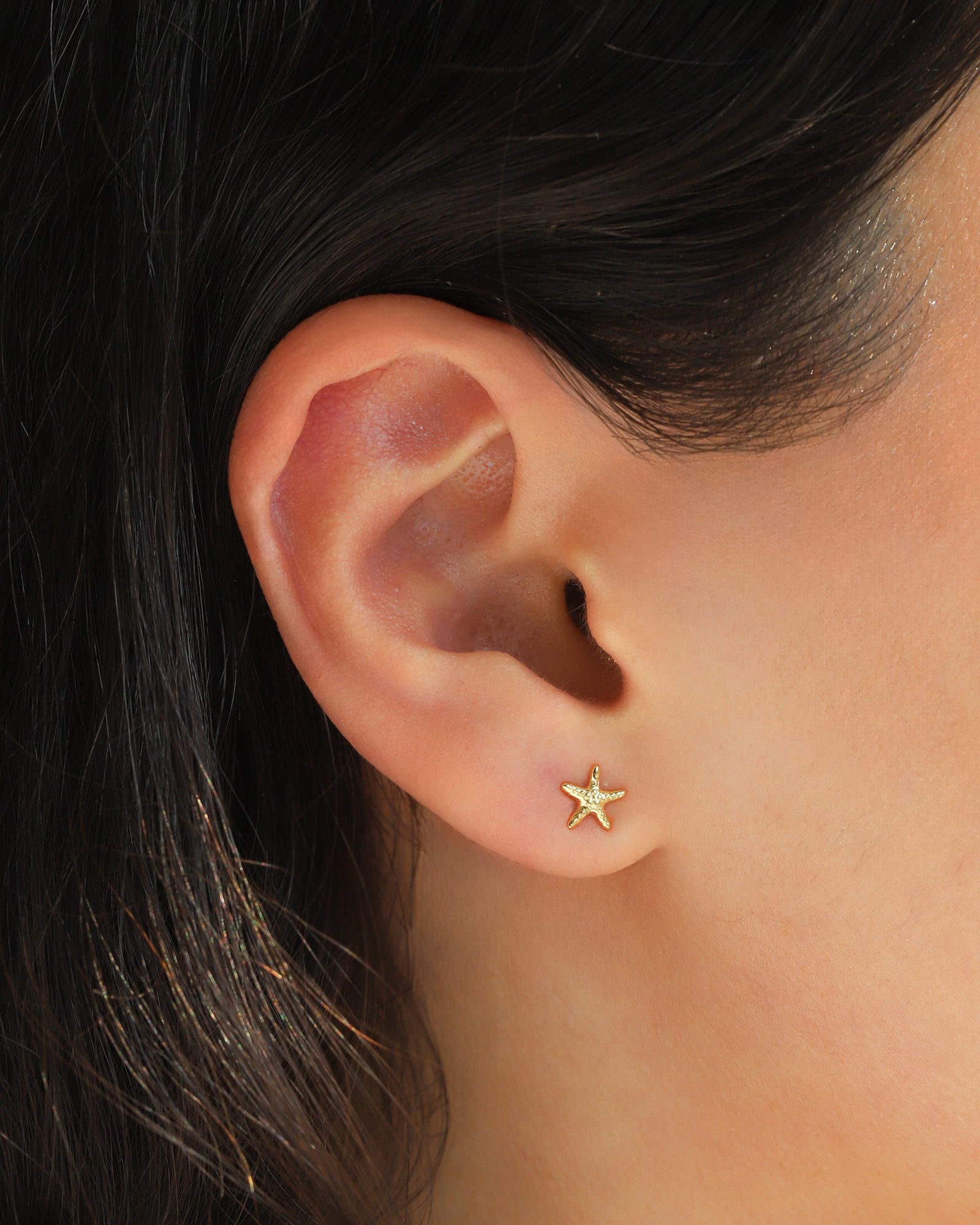 Quiet Icon-Starfish Stud-Earrings-Blue Ruby Jewellery-Vancouver Canada