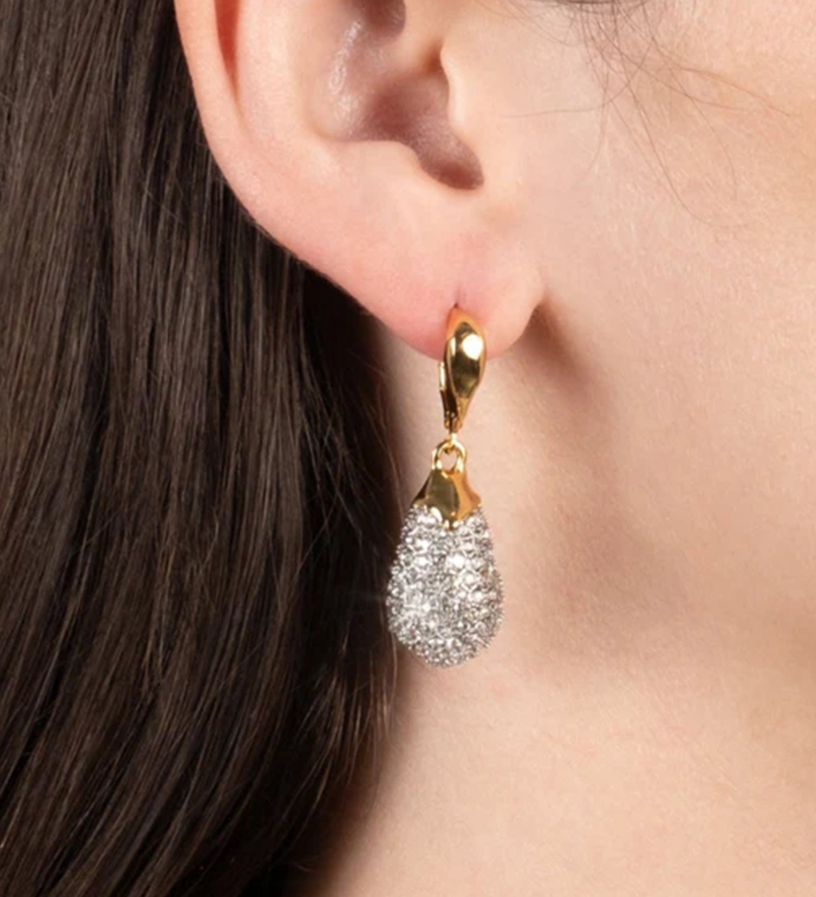 Solanales Crystal Teardrop Leverback Earring 14k Gold Plated, Crystal