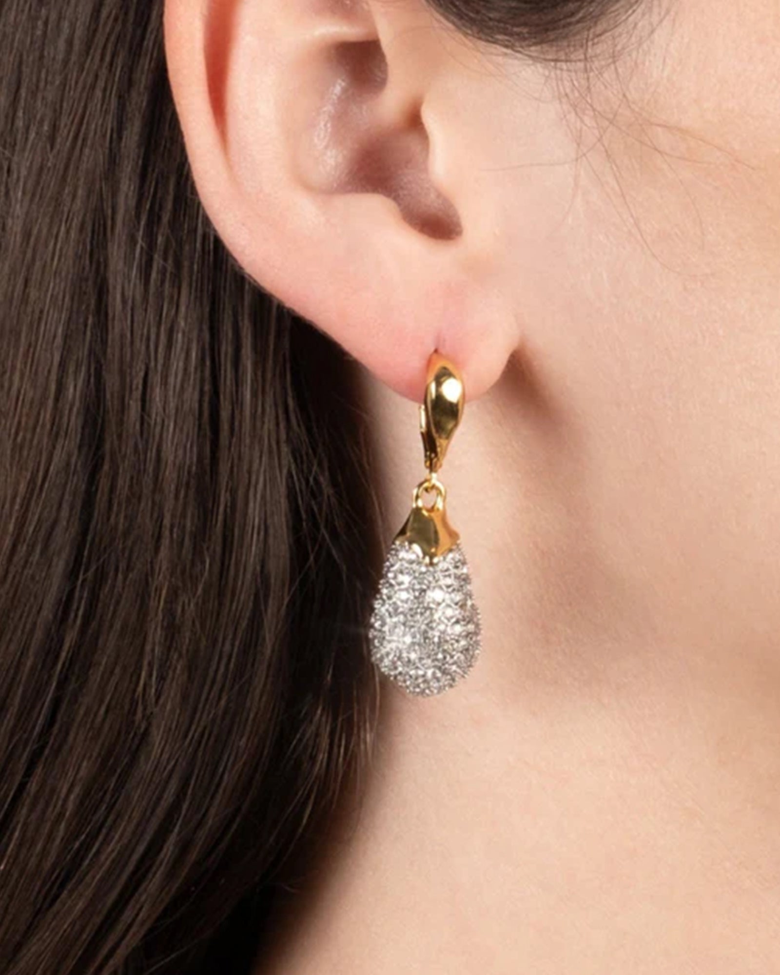 Solanales Crystal Teardrop Leverback Earring 14k Gold Plated, Crystal