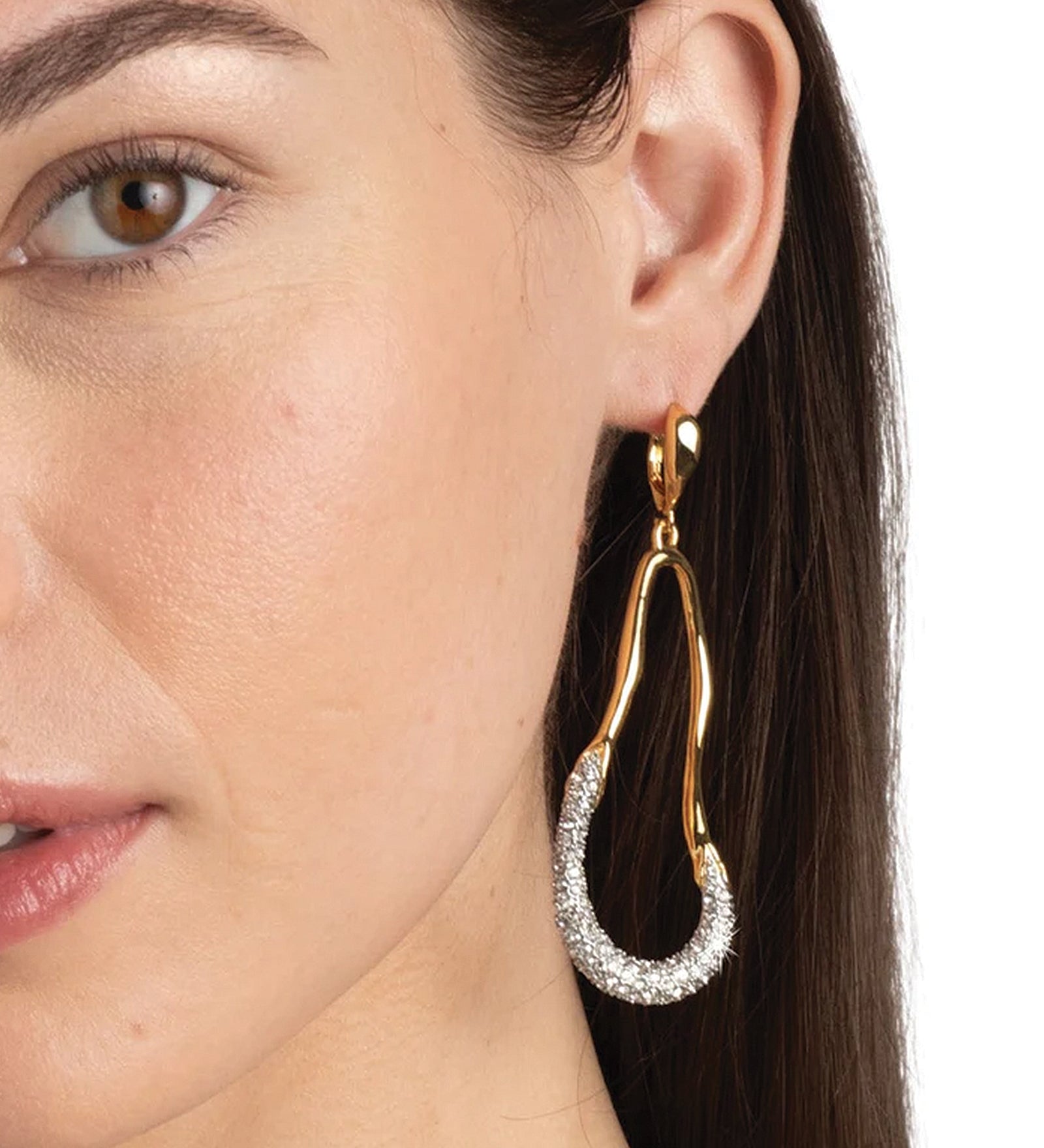 Alexis Bittar-Solanales Crystal Curve Leverback Drop Earrings-Earrings-Blue Ruby Jewellery-Vancouver Canada