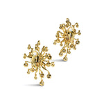 Alexis Bittar-Asterales Modernist Clip Earrings-Earrings-Blue Ruby Jewellery-Vancouver Canada