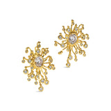 Asterales CZ
Clip Earring 14k Gold Plated Brass, Cubic Zirconia