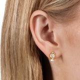 Asterales Gold Petite Teardrop Stud Earrings