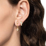 Asterales Gold Petite Teardrop Stud Earrings