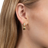 Asterales Gold Teardrop Huggie Hoop Earrings