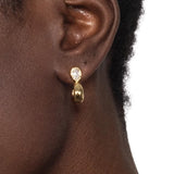 Asterales Gold Teardrop Huggie Hoop Earrings