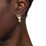 Asterales Gold Petite Doorknocker Post Earrings