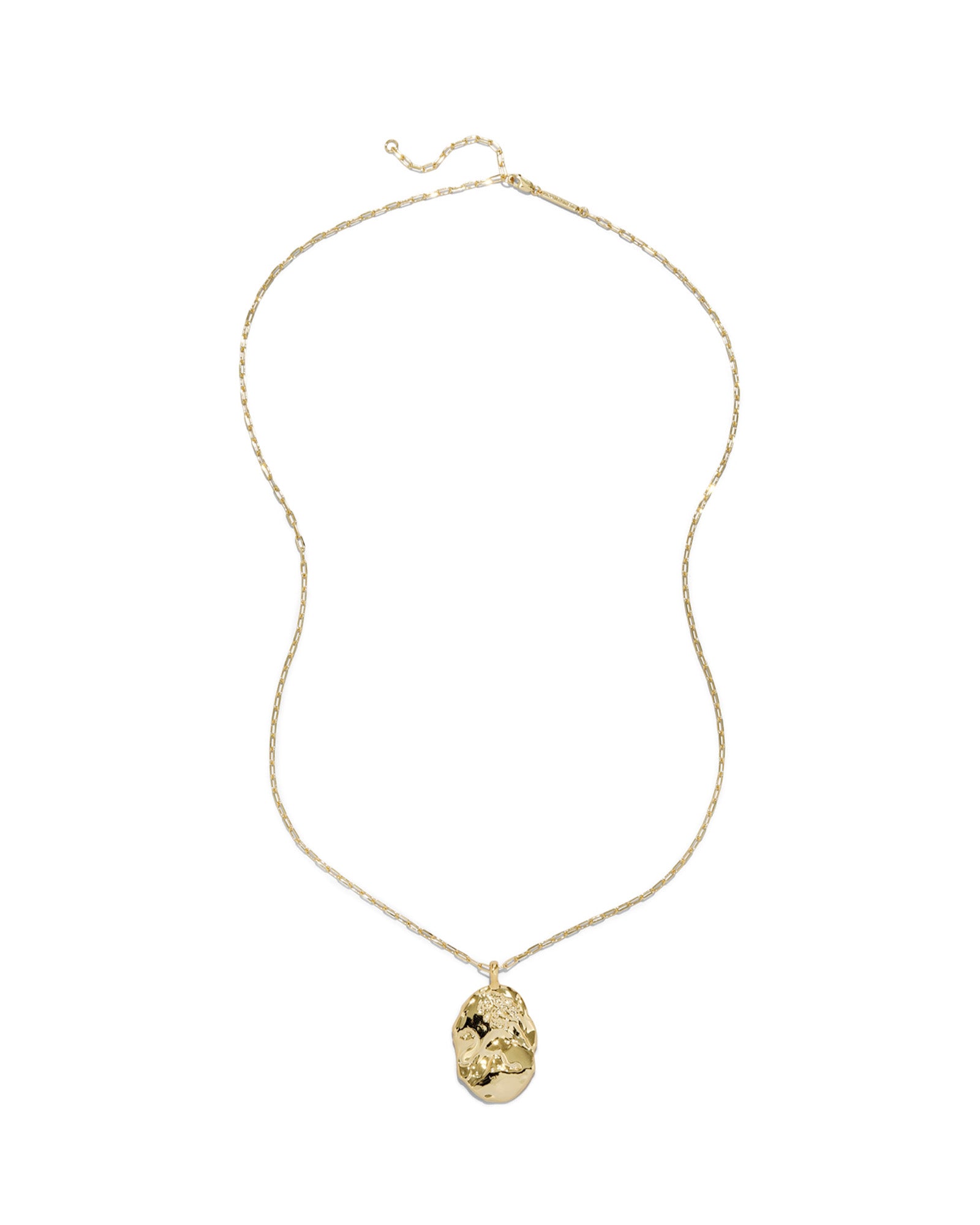 Brut Gold Lion Charm Pendant Necklace 14k Gold Plated