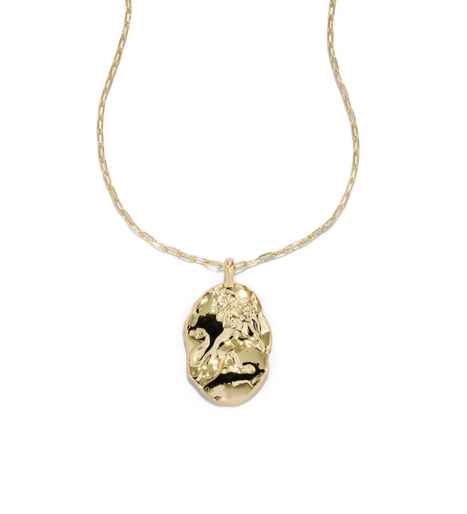 Brut Gold Lion Charm Pendant Necklace 14k Gold Plated