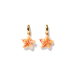 Carved Starfish Hook Earrings 18k Gold Vermeil, Oyster Starfish