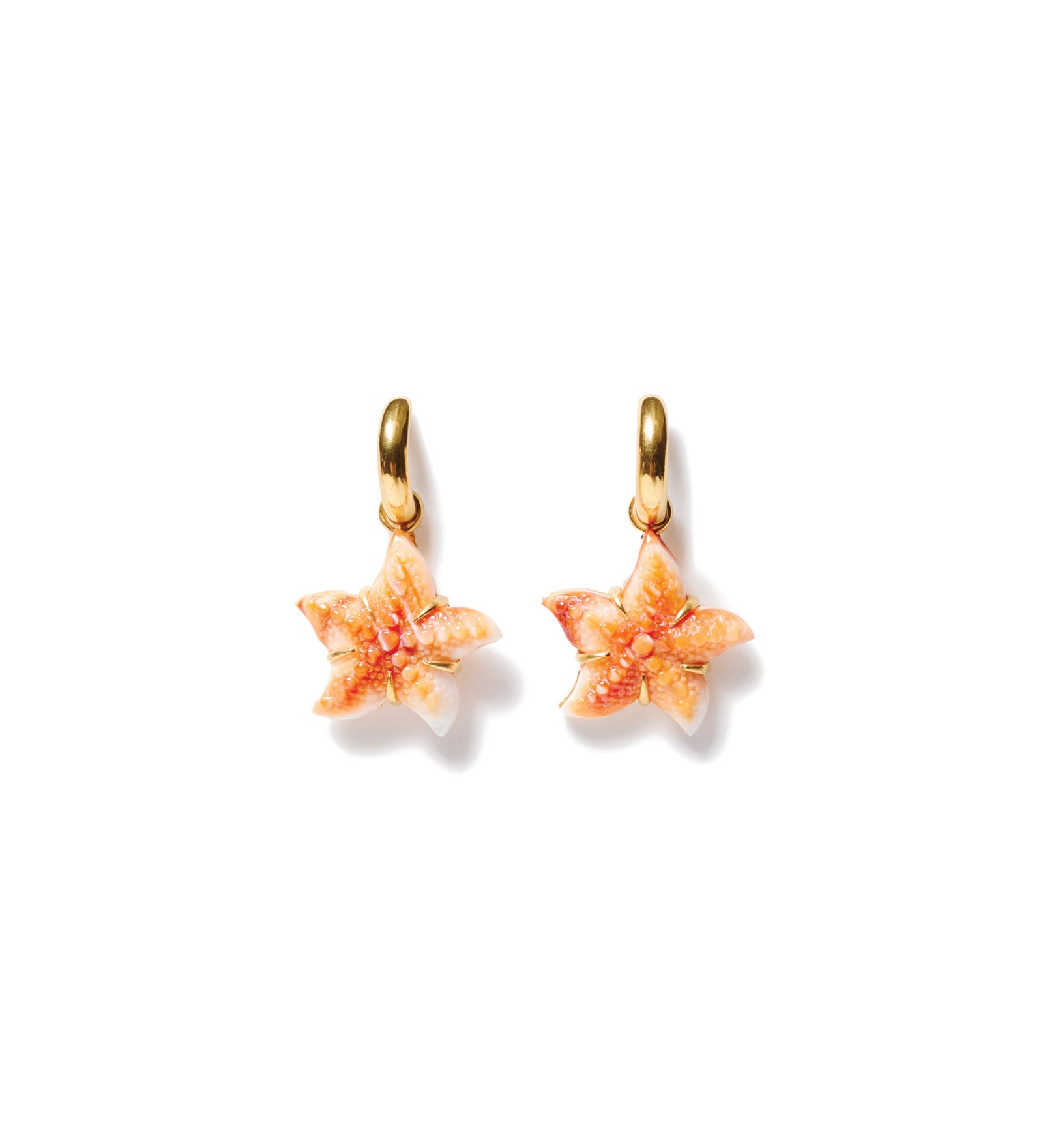 Carved Starfish Hook Earrings 18k Gold Vermeil, Oyster Starfish