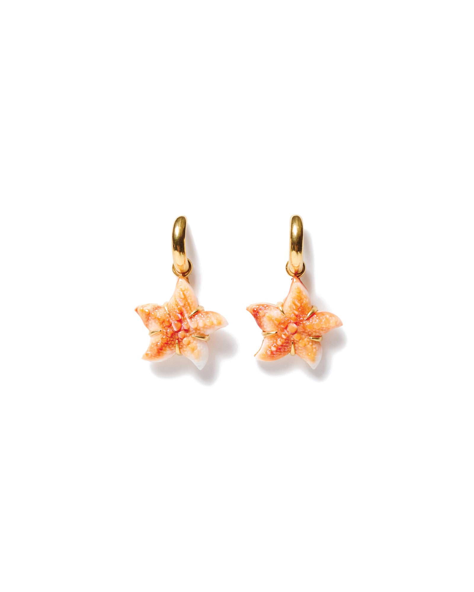 Carved Starfish Hook Earrings 18k Gold Vermeil, Oyster Starfish