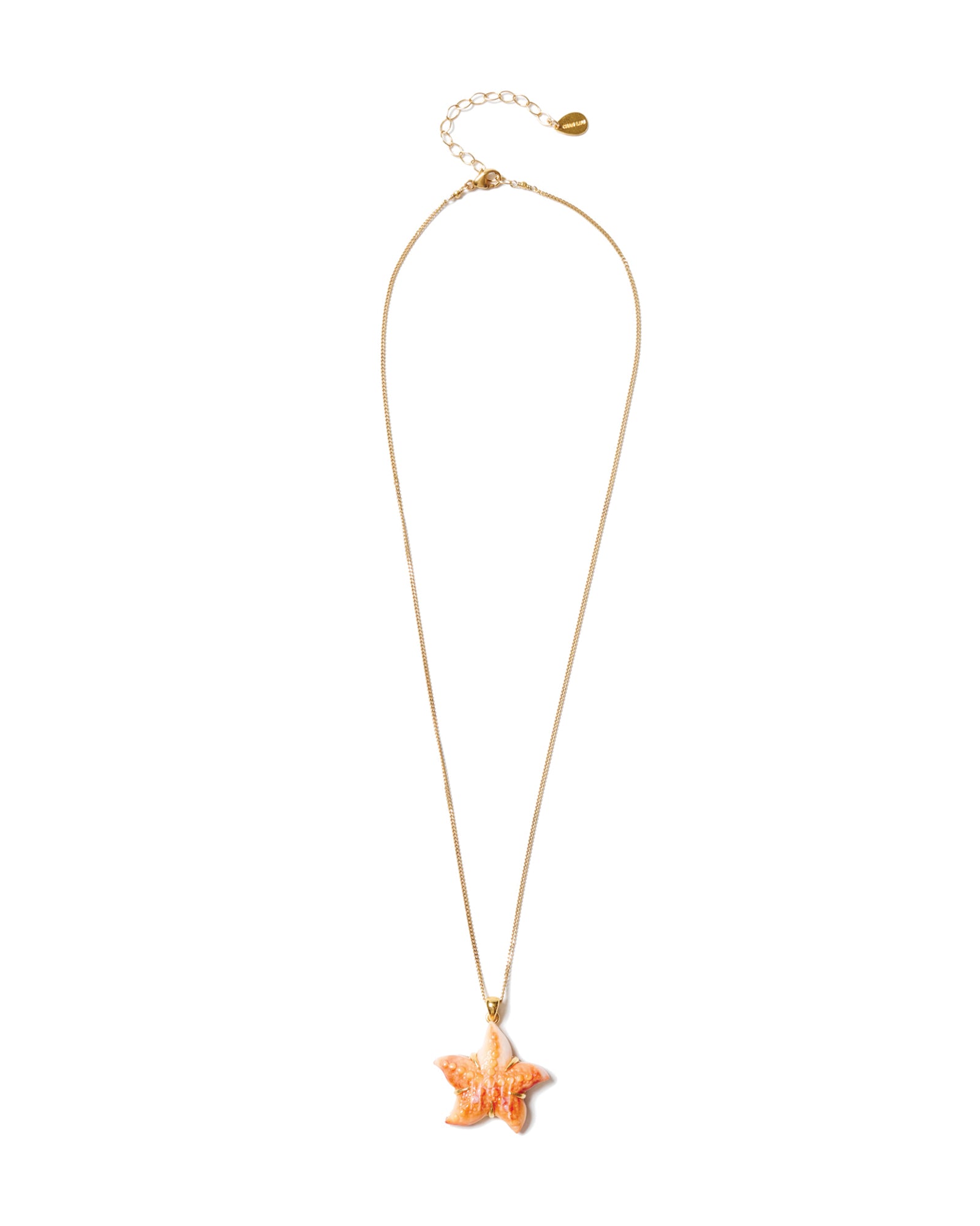 Starfish Necklace 18k Gold Vermeil, Oyster Starfish