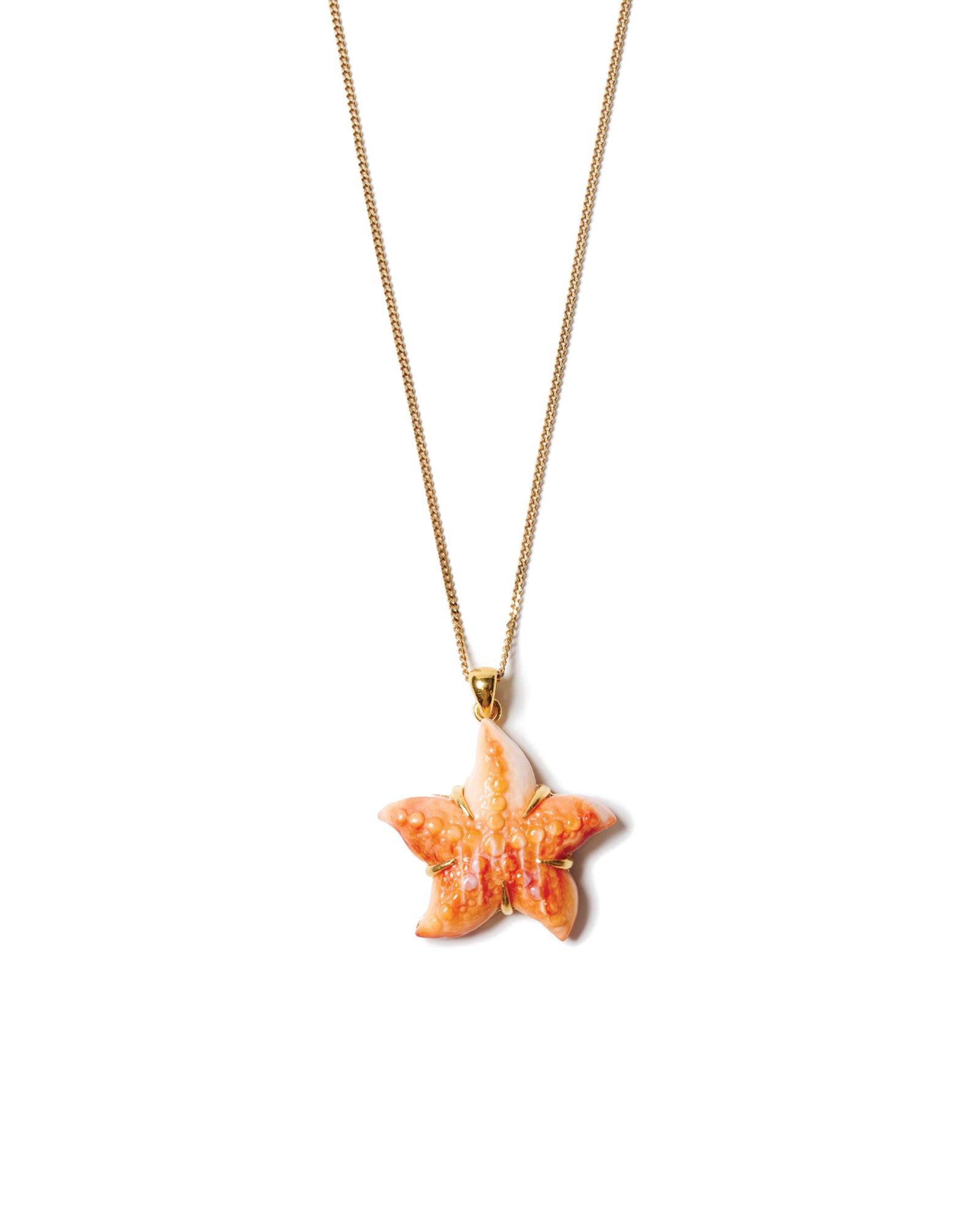 Starfish Necklace 18k Gold Vermeil, Oyster Starfish