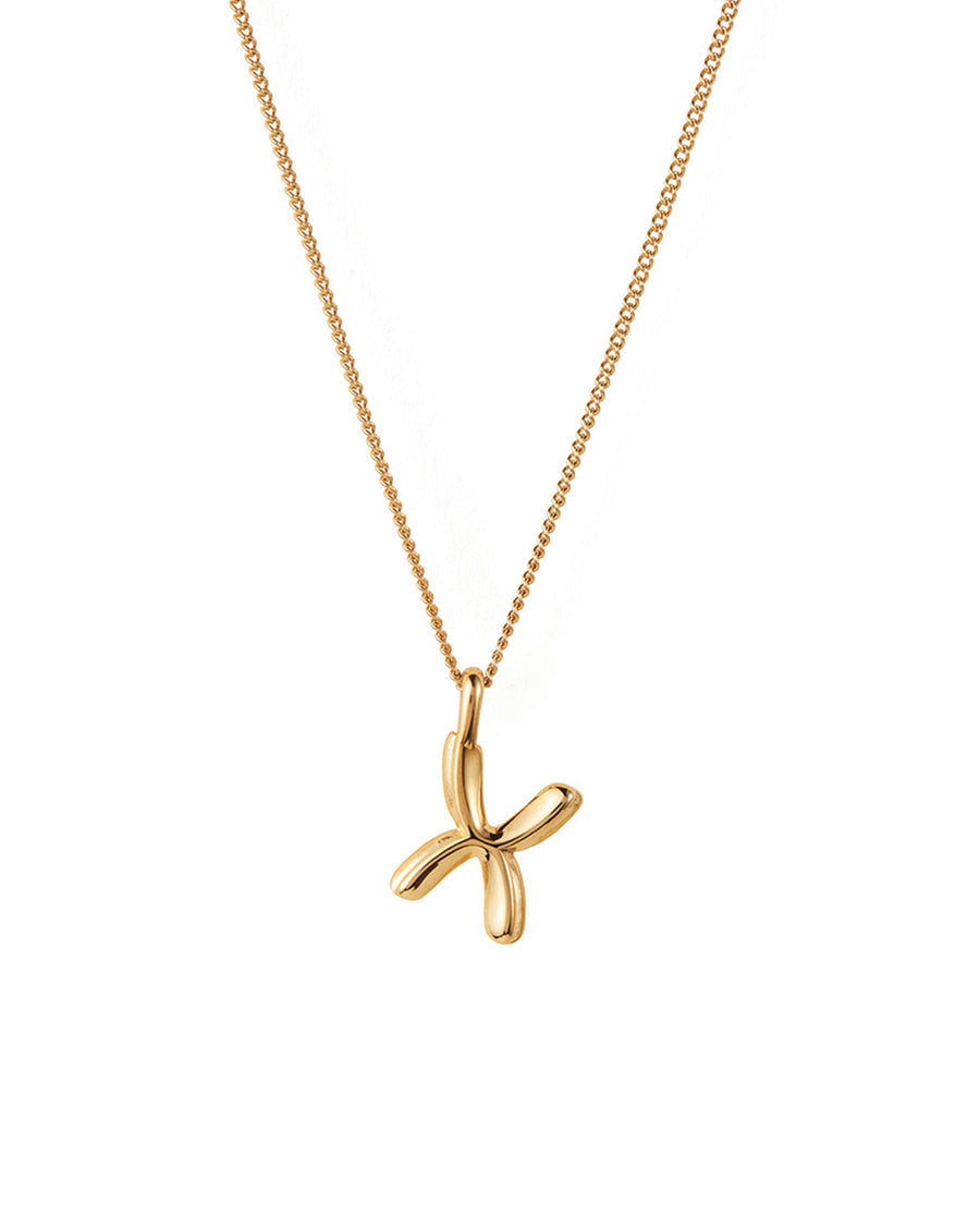 Jenny Bird-Monogram Necklace-Necklaces-14k Gold Plated-X-Blue Ruby Jewellery-Vancouver Canada