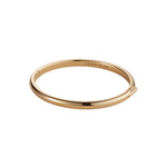 Remi Bangle 14k Gold Plated / MED