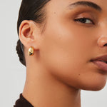 Small Nelle Hoops 14k Gold Dipped Brass