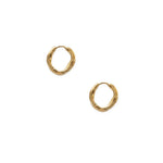 Pippa Hoops 14k Gold Plated