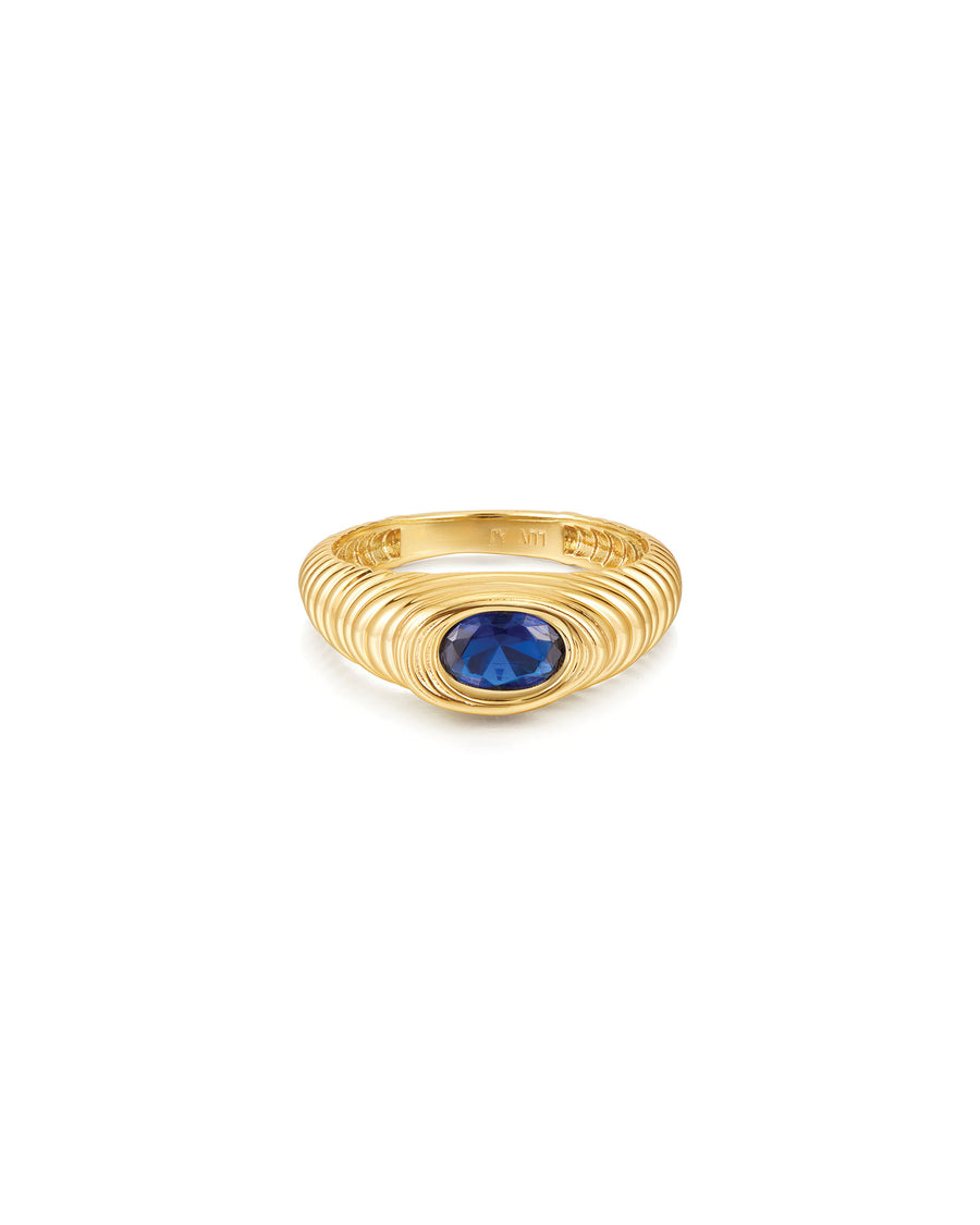 The Royale Stone Signet Ring 14k Gold Plated / 5