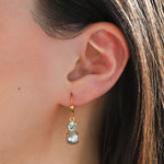 La Vie Parisienne-Graduated Round Crystal & Pearl Hooks-Earrings-Blue Ruby Jewellery-Vancouver Canada