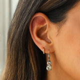 La Vie Parisienne-Graduated Round Crystal Hooks-Earrings-Blue Ruby Jewellery-Vancouver Canada