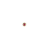Pyrrha-Stone Set 14k Stud-Earrings-14k Yellow Gold, Ruby-Blue Ruby Jewellery-Vancouver Canada