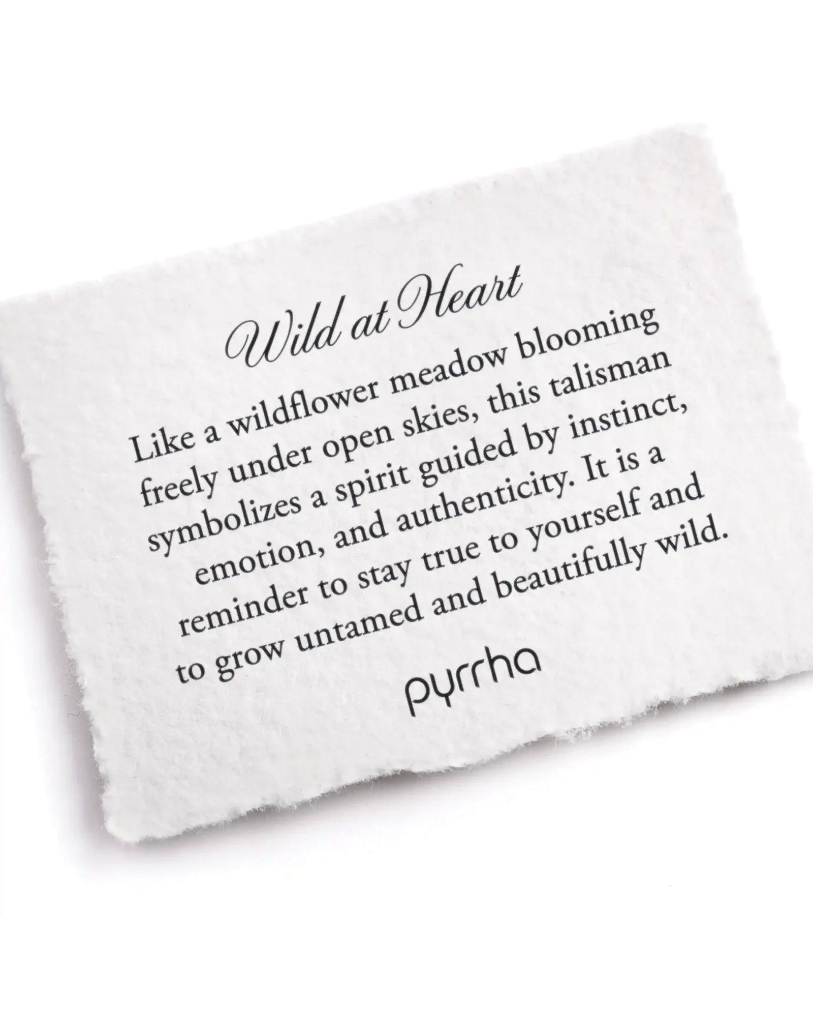 Wild at Heart Talisman Oxidized Sterling Silver