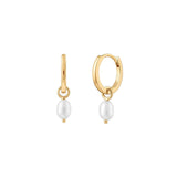 Quiet Icon-Pearl Drop Huggies | 12mm-Earrings-14k Gold Vermeil, Pearl-Blue Ruby Jewellery-Vancouver Canada
