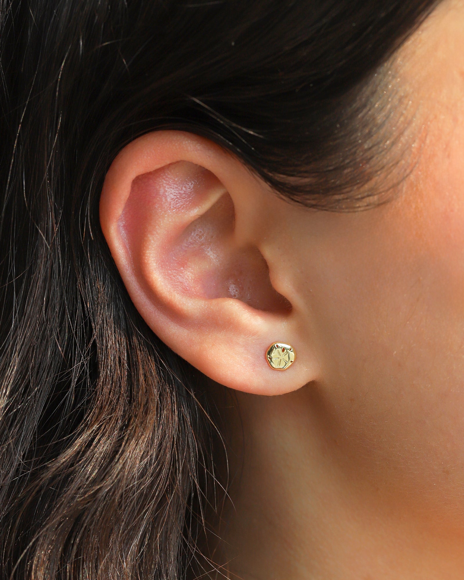 Quiet Icon-Sandollar Stud-Earrings-Blue Ruby Jewellery-Vancouver Canada