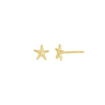 Quiet Icon-Starfish Stud-Earrings-14k Gold Vermeil-Blue Ruby Jewellery-Vancouver Canada