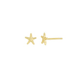 Quiet Icon-Starfish Stud-Earrings-14k Gold Vermeil-Blue Ruby Jewellery-Vancouver Canada