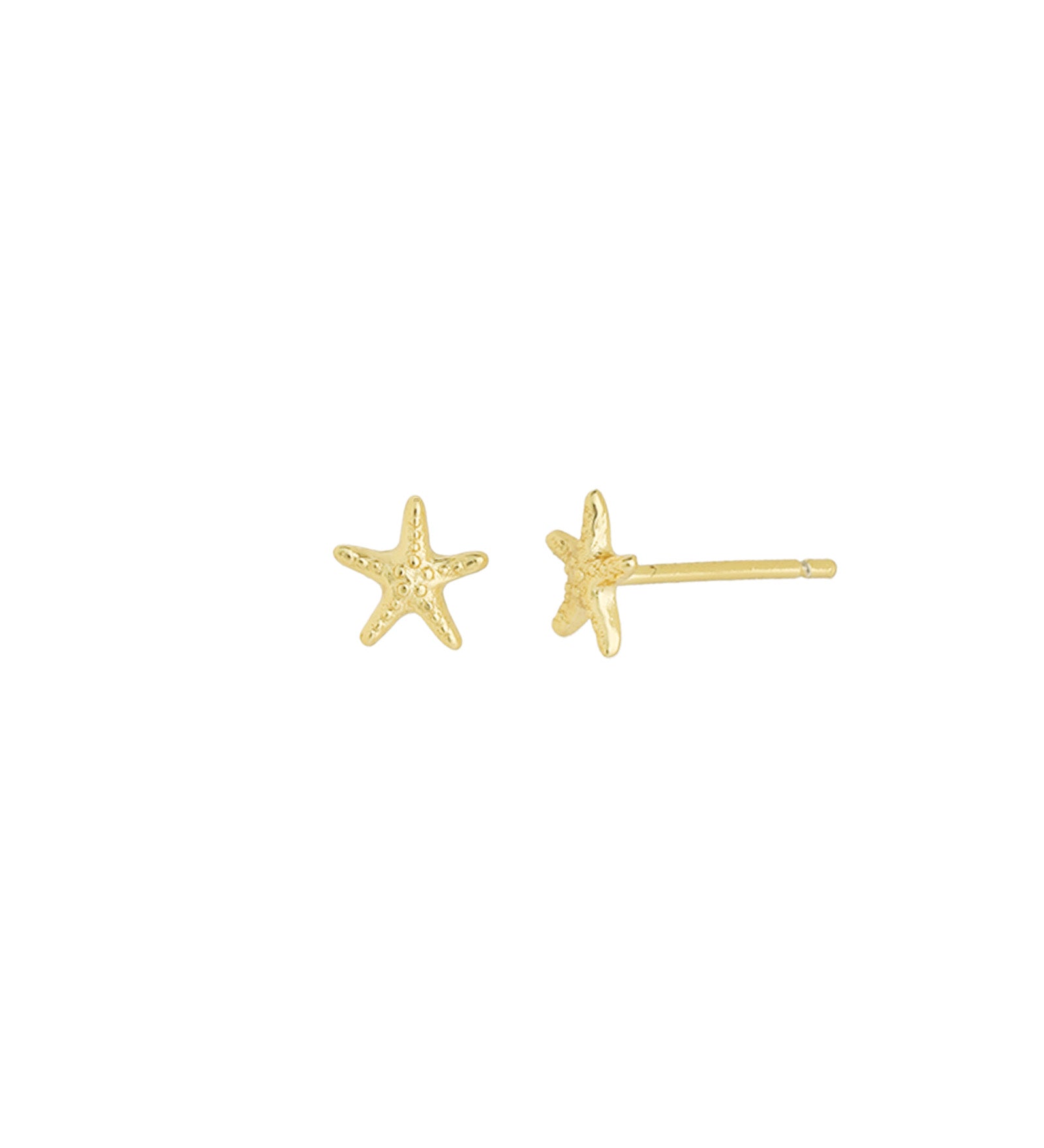 Quiet Icon-Starfish Stud-Earrings-14k Gold Vermeil-Blue Ruby Jewellery-Vancouver Canada