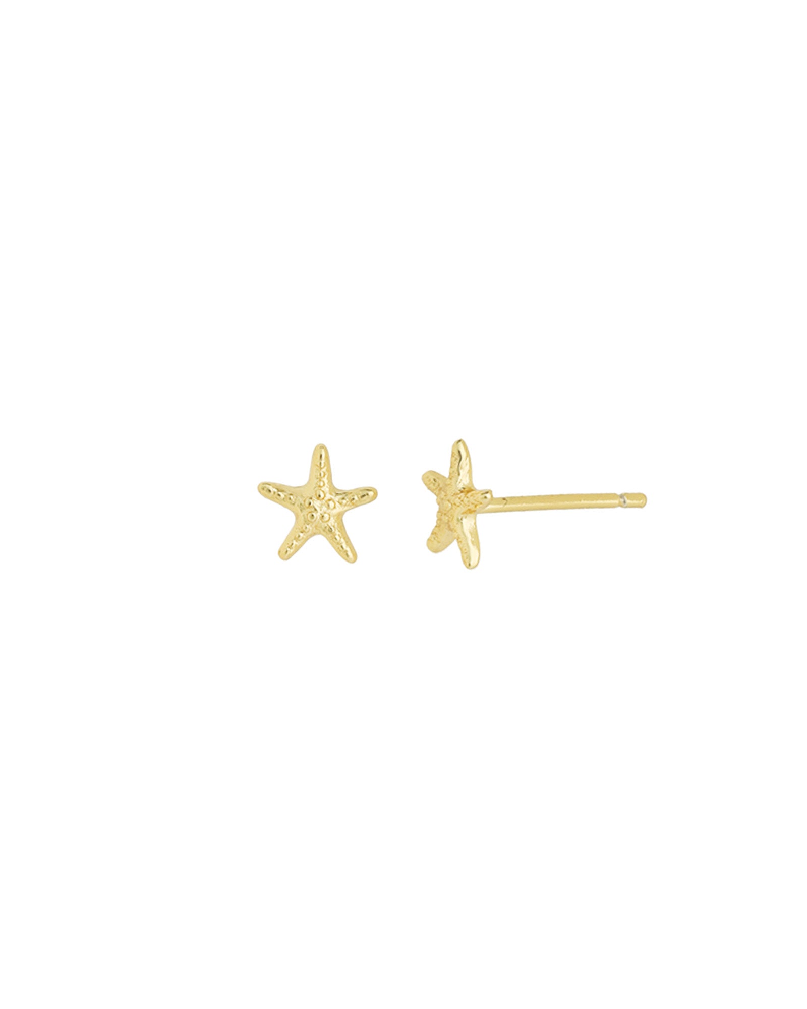 Quiet Icon-Starfish Stud-Earrings-14k Gold Vermeil-Blue Ruby Jewellery-Vancouver Canada