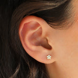 Daisy Stone Enamel Stud
