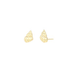 Spiral Shell Studs 14k Gold Vermeil