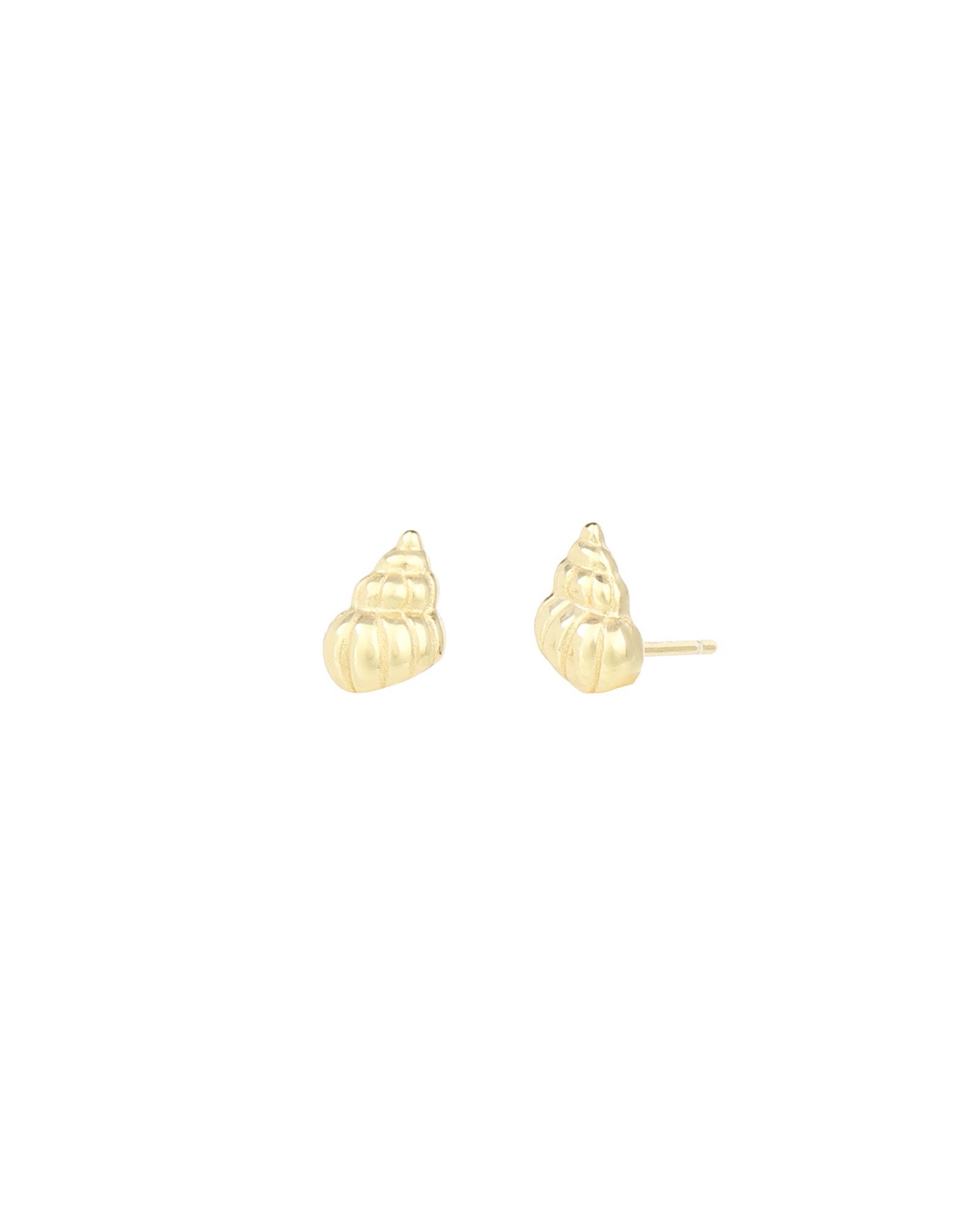 Spiral Shell Studs 14k Gold Vermeil