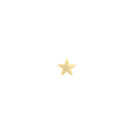 Quiet Icon-Classic Star Single Stud-Earrings-14k Gold Vermeil-Blue Ruby Jewellery-Vancouver Canada
