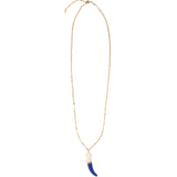 Shark Tooth Necklace