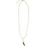 Shark Tooth Necklace