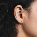 Small Rowan Hoops 14k Gold Plated