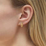 Jocelyn Studs 14k Gold Plated